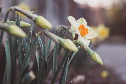 老虎城娱乐的独特体验:从赌场到表演的全方位享受 老虎城娱乐的独特体验:从赌场到表演的全方位享受