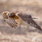 老子有钱娱乐:财富与娱乐交织下的社会现象与思考 9s6sdtoo7