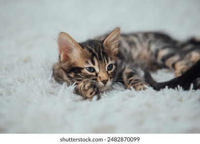 CBA常规赛焦点战：山西汾酒股份主场迎战浙江广厦控股精彩直播