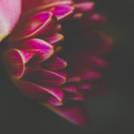 《勇士的荣耀》全球独家直播平台震撼上线 8hc00mh