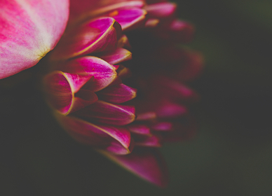 《勇士的荣耀》全球独家直播平台震撼上线 《勇士的荣耀》全球独家直播平台震撼上线