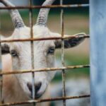 《勇士的荣耀》完整版直播平台及电视播出频道指南 rve51ge0ew